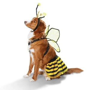 Bumble Bee halloween dog/cat costume